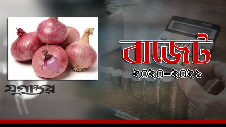 পেঁয়াজ আমদানিতে শুল্কারোপ