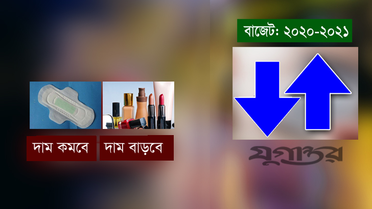 দাম কমছে স্যানিটারি ন্যাপকিনের, বাড়ছে প্রসাধনী সামগ্রীর