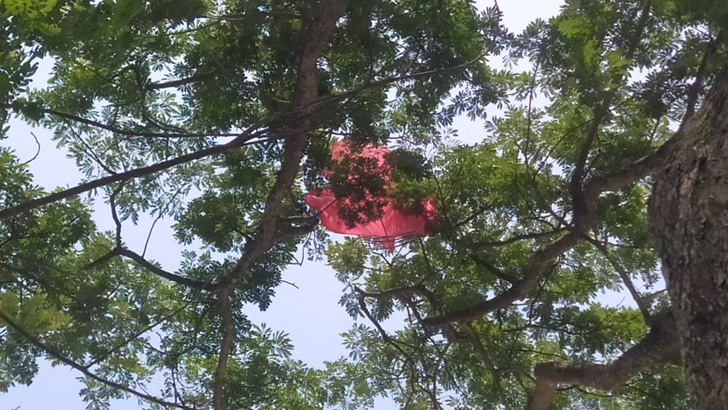 ঘুড়ির জন্য প্রাণ গেল স্কুলছাত্রের