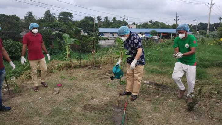 সবুজ সোনারগাঁও গড়তে এমপি খোকার বৃক্ষরোপণ 