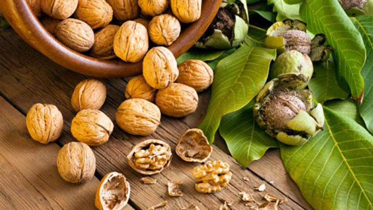 আখরোটের স্বাস্থ্য উপকারিতা