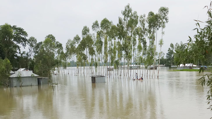 ধরলার-ব্রহ্মপুত্রের পানি বিপদসীমার ওপরে, বিপাকে দেড় লক্ষাধিক মানুষ