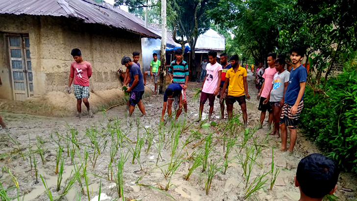 বগুড়ায় রাস্তায় ধানের চারা লাগিয়ে প্রতিবাদ