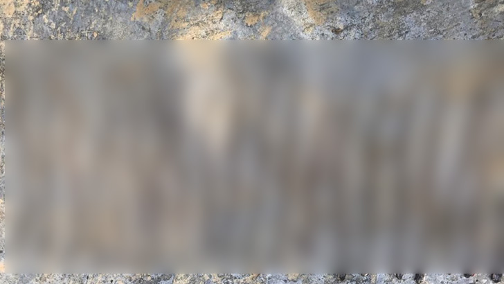 গোয়ালঘরে ২৪টি গোখরো সাপ!