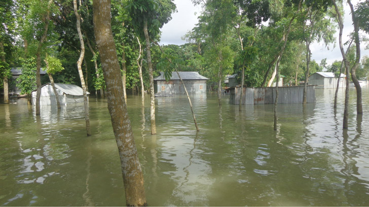 বন্যায় শেরপুর-জামালপুর সড়ক যোগাযোগ বিচ্ছিন্ন 