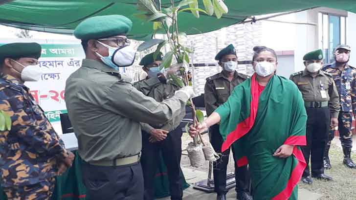 নেত্রকোনায় আনসার-ভিডিপির উদ্যোগে গাছের চারা বিতরণ