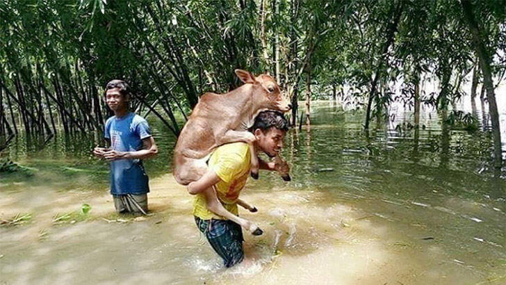 দ্রুত অবনতি হচ্ছে বন্যার