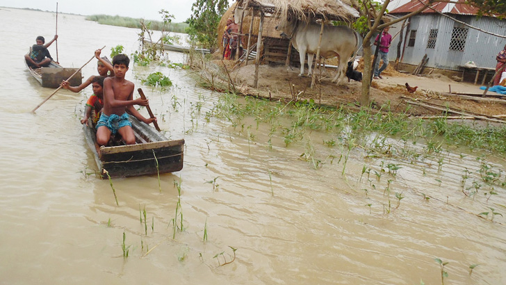 পদ্মার ভাঙনে বাঘার শতাধিক পরিবার গৃহহারা