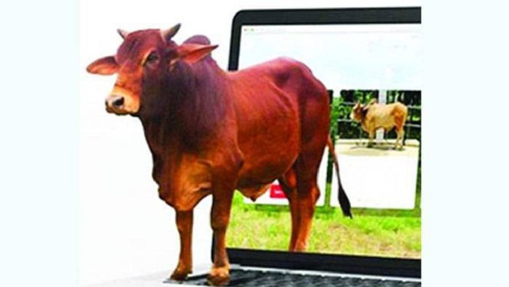 শরাফাত আলীর অনলাইন কুরবানি