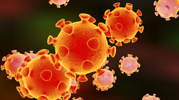 করোনা: ২৪০ কলঙ্ক, ১৪৬ সংঘর্ষে মৃত্যু ২৩