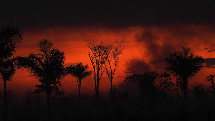 আমাজনে অগ্নিকাণ্ড ডাহা মিথ্যা: বোলসোনারো