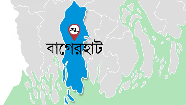 সুন্দরবনে বিষ দিয়ে আহরণ করা ১৫ মণ চিংড়ি শুঁটকি উদ্ধার