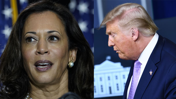 কমলার ভাইস প্রেসিডেন্ট পদে বসার যোগ্যতা নিয়ে প্রশ্ন ট্রাম্পের