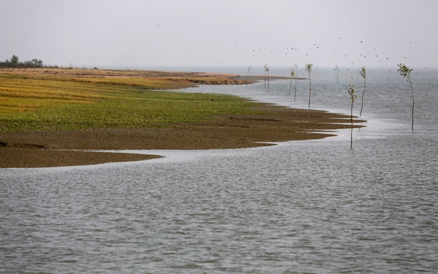 ভাসানচরের কাছে চিনিবোঝাই লাইটারেজ জাহাজ ডুবি