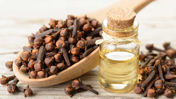 সর্দি-কাশিসহ যেসব রোগ সারাবে লবঙ্গ