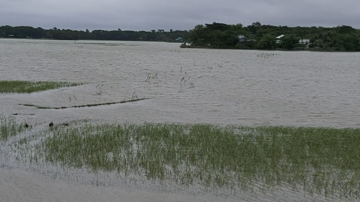 জোয়ারের লবণাক্ত পানিতে শেষ কৃষকের স্বপ্ন