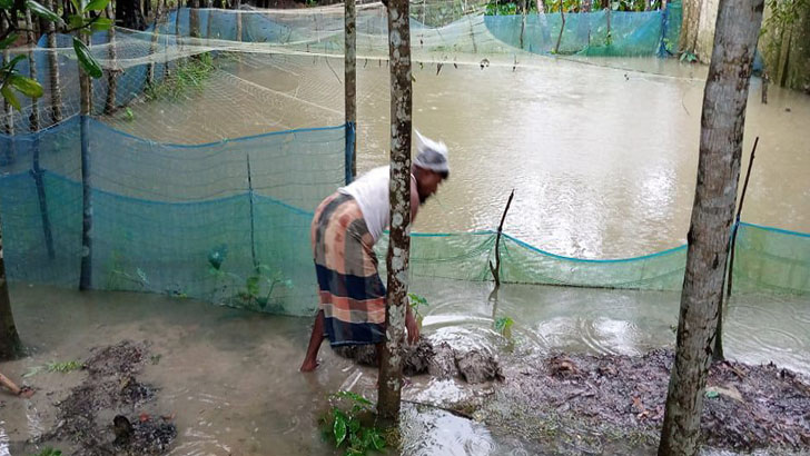 দুমকিতে ভেসে গেছে দুই শতাধিক ঘেরের মাছ