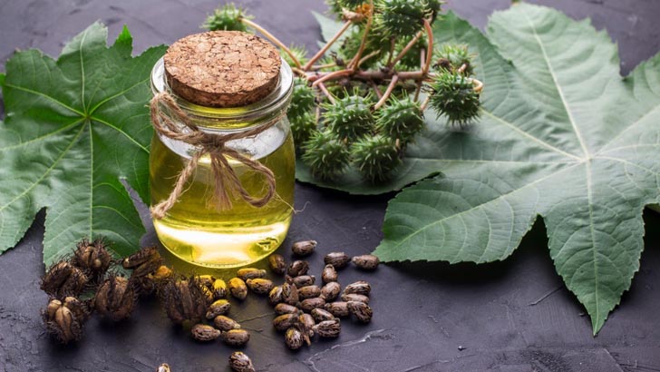 চুলের যত্নে কোন তেল ব্যবহার করবেন