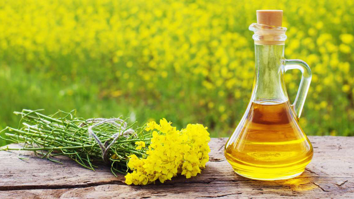 চুলে সরিষার তেল ব্যবহারে যত উপকার