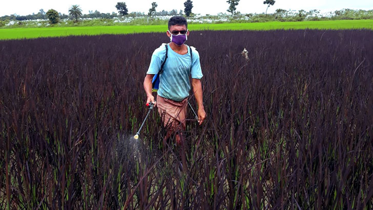 কৃষি উন্নয়নে সমবায় ব্যবস্থা কার্যকর হোক