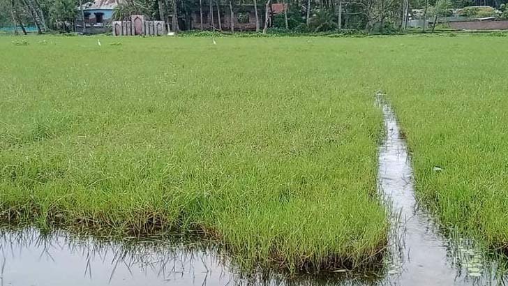 কুমারখালী উপজেলা পরিষদের খেলার মাঠটি এখন ডোবা