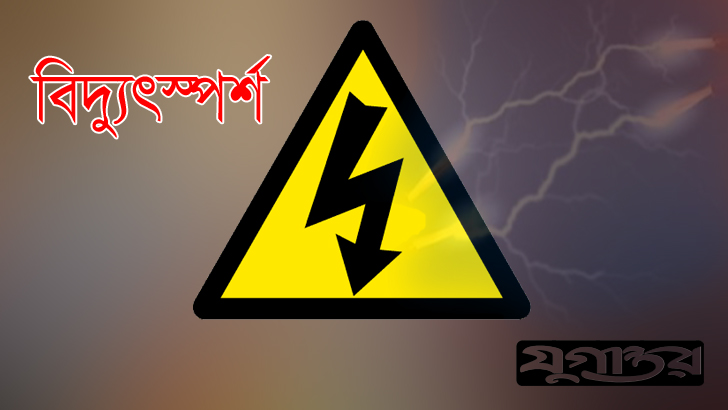 নারিকেলগাছ পরিষ্কার করতে গিয়ে বিদ্যুৎস্পর্শে ব্যবসায়ীর মৃত্যু