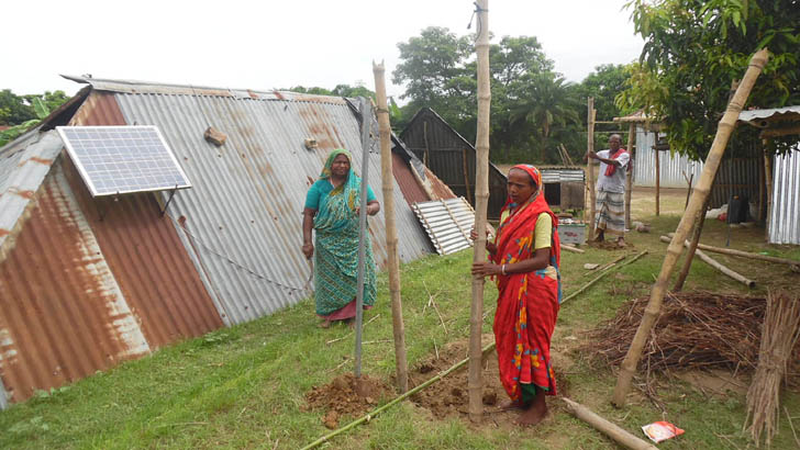 পদ্মার পানি কমায় ঘরবাড়ি তৈরিতে ব্যস্ত চরবাসী