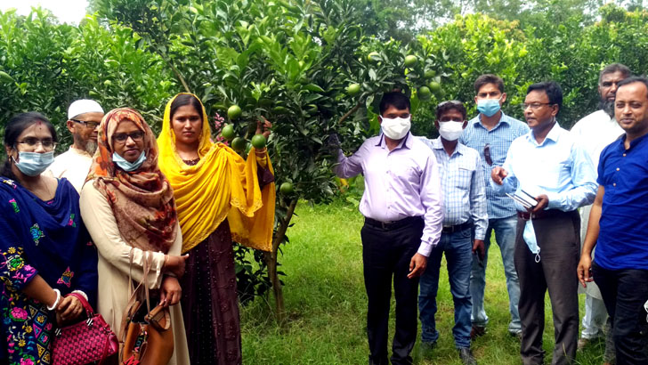 লোহাগড়ায় মালটা চাষে সফল নারী চাষী আফরোজা