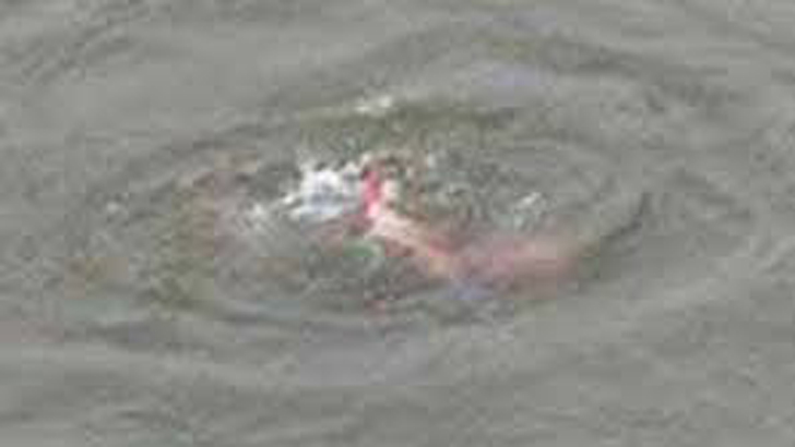 পাঁচ বছরের মামাকে বাঁচাতে গিয়ে মারা গেল ৪ বছরের ভাগ্নিও