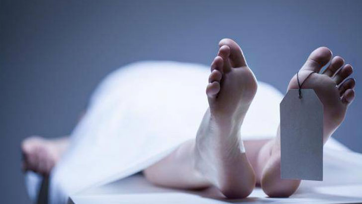 Onlaynda qizlarning mushuklaridagi jinsiy aloqasini tomosha qiling