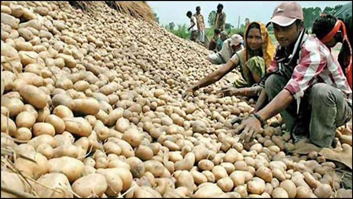 আলুর খুচরা দাম ৩০ টাকা, ডিসিদের নজরদারির নির্দেশ