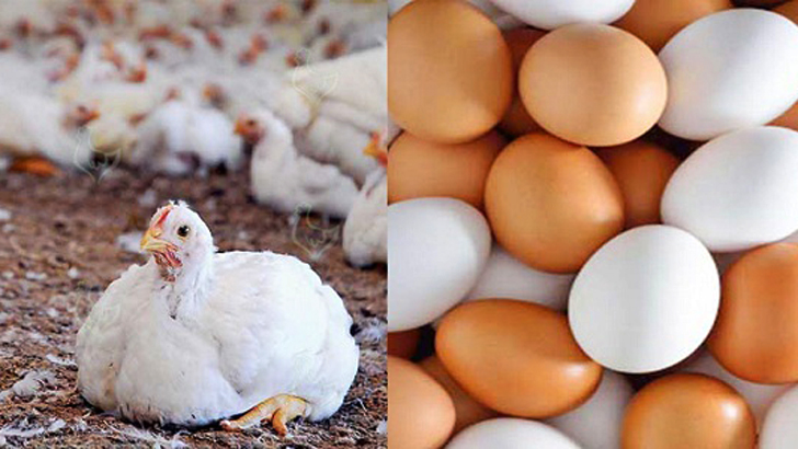 হরমোনের ভারসাম্য রক্ষায় খাবেন যেসব খাবার 