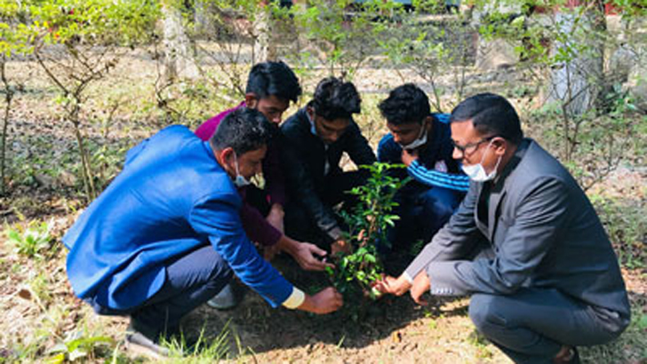 শহীদদের স্মরণে একযোগে ৬৪ জেলায় লাল-সবুজের বৃক্ষরোপণ