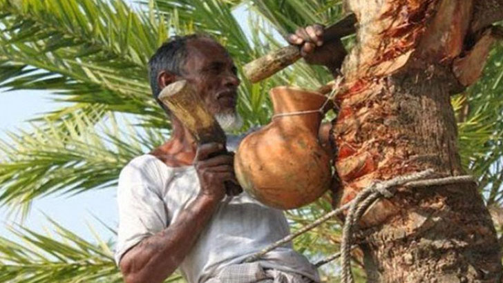 খেজুর রসের ভালোমন্দ