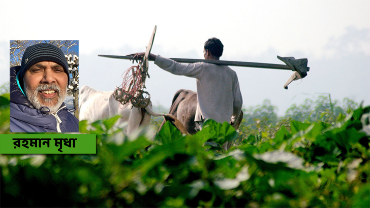 কুশিক্ষার অন্ধকারে ঢাকা পড়েছে কৃষক শ্রমিকেরা