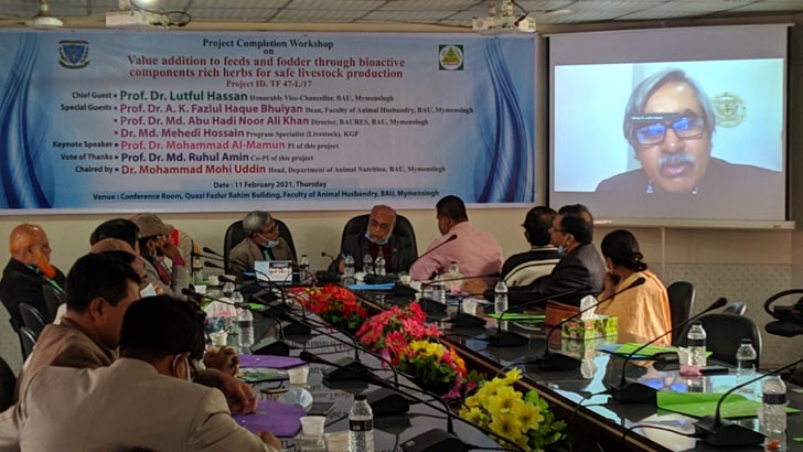 দুধের পুষ্টিমান বাড়াবে সজিনা পাতা আনারসের উচ্ছিষ্টাংশ