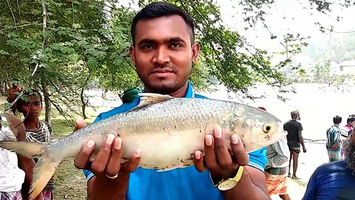ঘেরে মিলল ১ কেজি ওজনের ৮ ইলিশ! (ভিডিও)