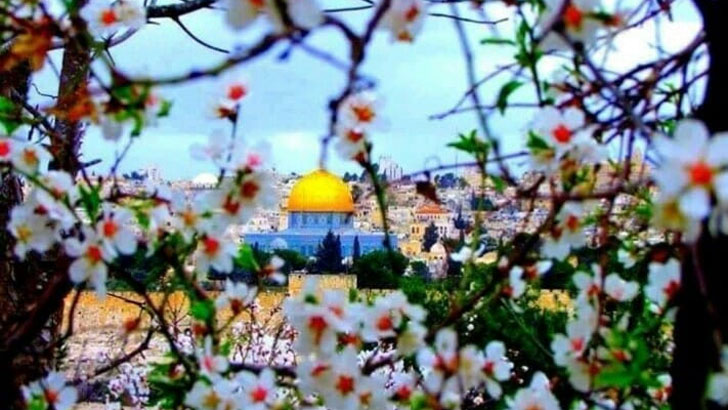 Xonanda Natalya Gulkina bilan jinsiy aloqa