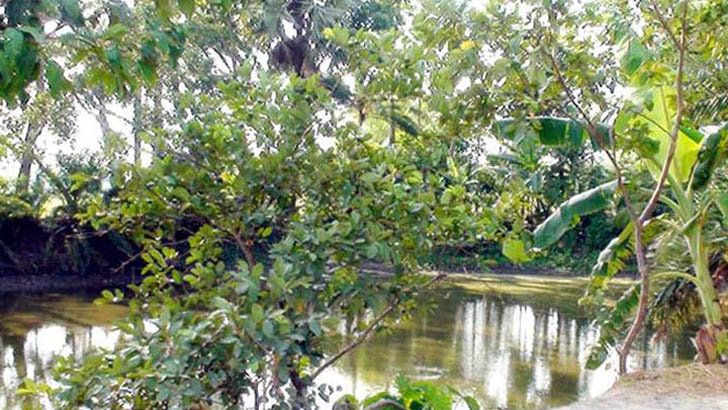 ৫০ বছরেও তারাকান্দর বধ্যভূমিতে শহীদ স্মৃতিস্তম্ভ নির্মাণ হয়নি