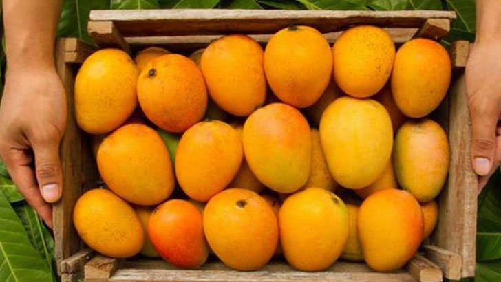 মিষ্টি আম চিনবেন যেভাবে