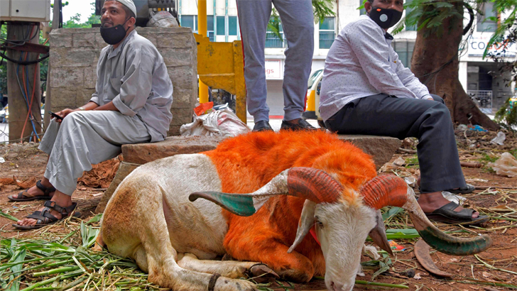 সাময়িক ঋণগ্রস্ত হলে কোরবানি ওয়াজিব হবে কি?