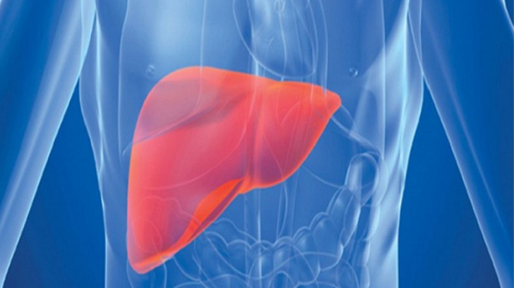 আপনার লিভার ক্ষতিগ্রস্ত কিনা বুঝবেন কীভাবে?