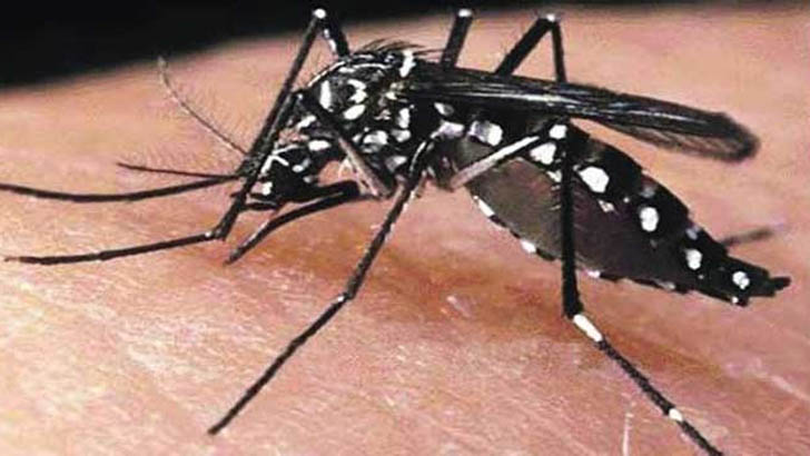 উদ্বেগ বাড়াচ্ছে ডেঙ্গি