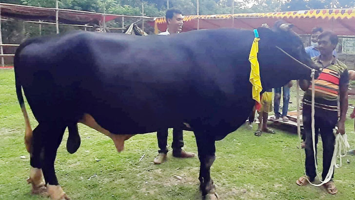 'কালা পাহাড়' নিয়ে বিপাকে মালিক