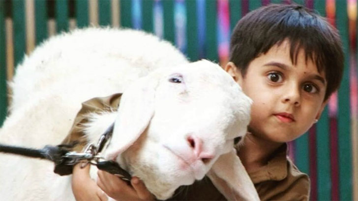 ত্যাগ, উৎসর্গ ও আনুগত্যের ঈদ