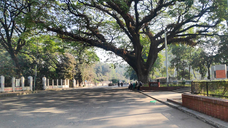 ‘বিশ্ববিদ্যালয় ঘিরে শেখ হাসিনা সরকার হটানোর প্রস্তুতি’