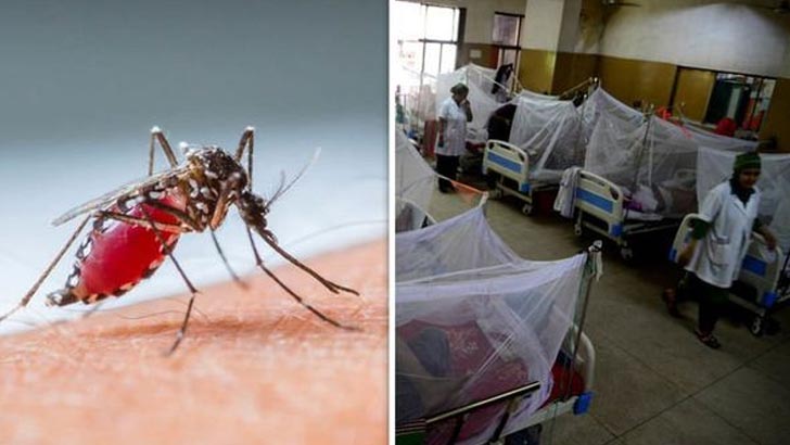 ডেঙ্গুতি আরও ৩২১ জন হাসপাতালে