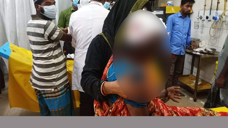 শিশুদের মল-মূত্র ত্যাগ নিয়ে বৃদ্ধাকে হত্যা, আহত ৫