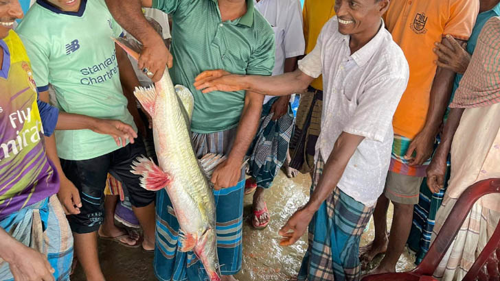 শৌখিন শিকারির বড়শিতে ৮ কেজির আইড়