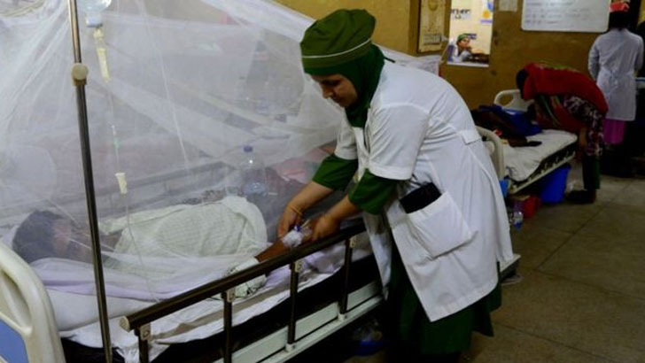 হাসপাতালে আরও ১০৬ ডেঙ্গি রোগী